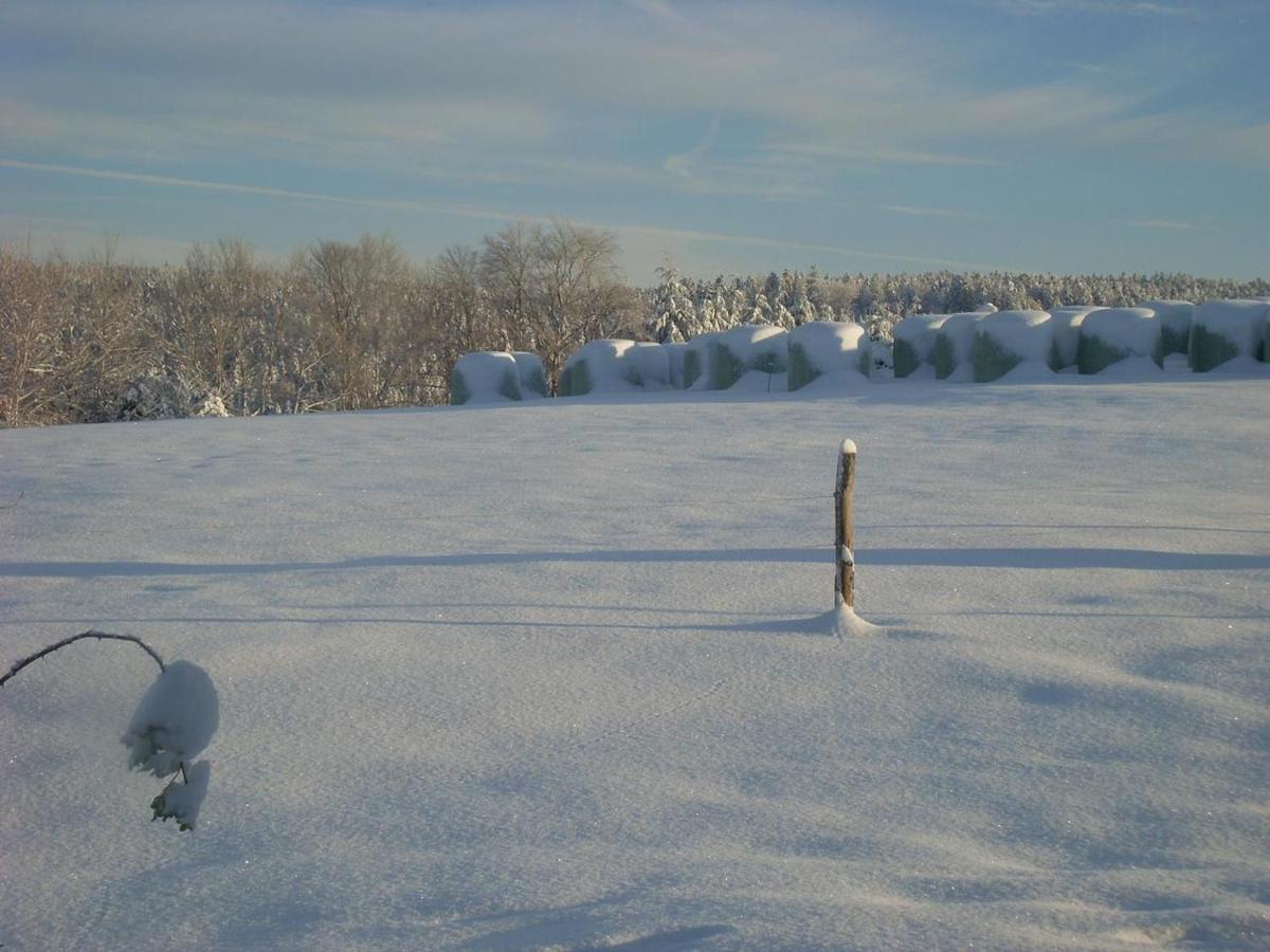 Location Vacances Des 4 Vents Girmont-Val-dʼAjol Exterior foto